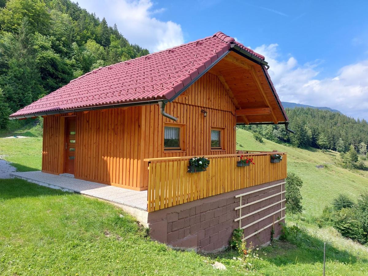 Pocitniska Hiska Lastovka Podvolovljek Exterior photo
